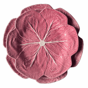 Couve Pink