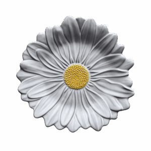 maria flor daisy