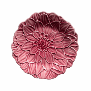 maria flor dahlia