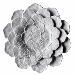 Geranium white